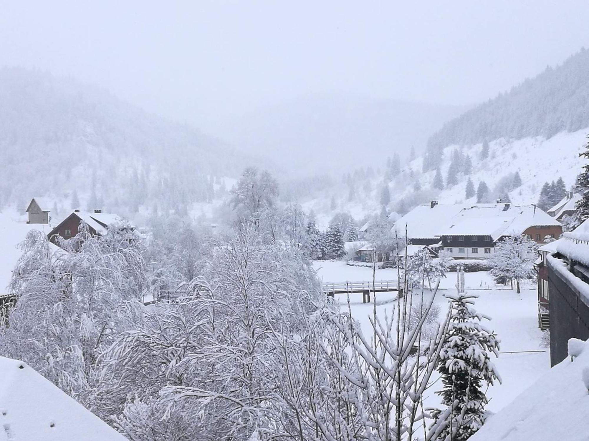Naturidyll Am Fluss - Ferienhaus Albmatte - Grosser Garten Zum Grillen Und Entspannen-Direkt Neben Dem Radon Revitalbad Mit Sauna Und Thermalbecken Санкт-Блазиен Экстерьер фото