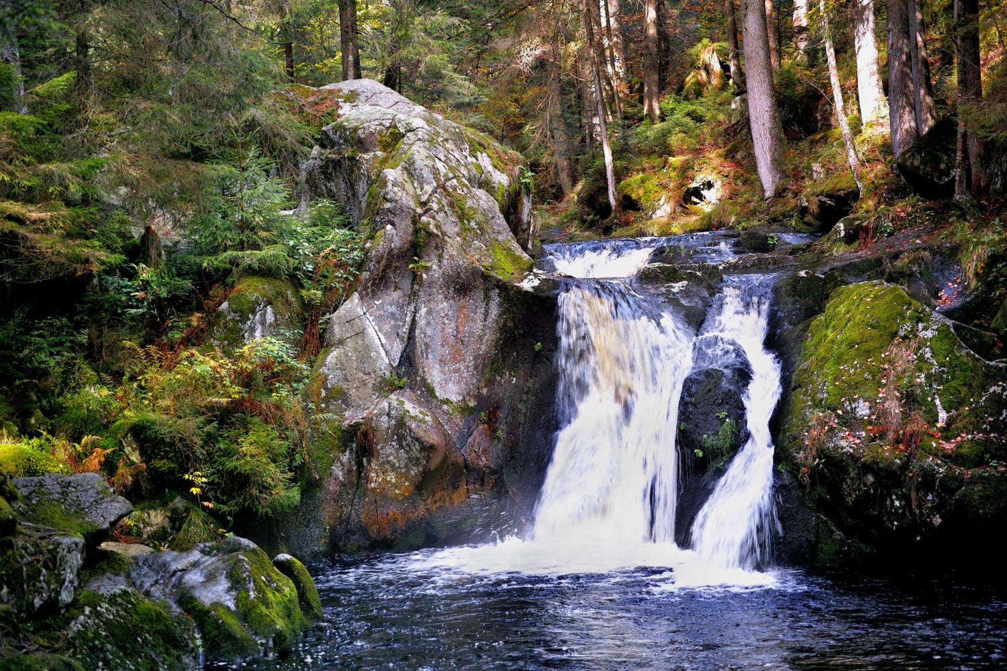 Naturidyll Am Fluss - Ferienhaus Albmatte - Grosser Garten Zum Grillen Und Entspannen-Direkt Neben Dem Radon Revitalbad Mit Sauna Und Thermalbecken Санкт-Блазиен Экстерьер фото